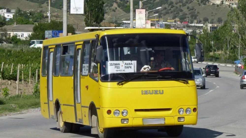 Новый свет судак автобус. Судак Крым автостанция. Автобусы в Судаке. Автобусы Судак городские. Автобус 1 в Судаке.