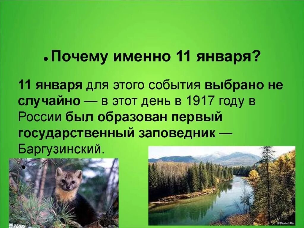 Почему 11 января