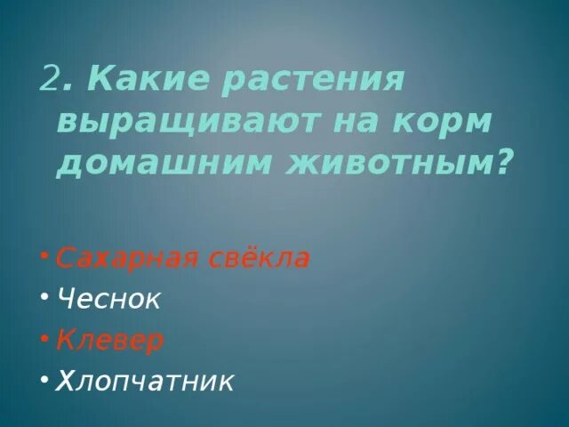 Какое растение выращивают на корм животным. Какие растения выращивают на корм домашним животным. Какую траву выращивают на корм животных. Какое растение выращивается на корм домашних животных. Какую траву выращивают на корм животным 3 класс.