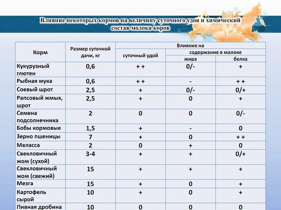 Можно кормить новорожденного коровьем. Рацион кормления коров. Кормление дойных коров. Основной рацион для кормления коров. Рацион кормления коров на раздое.