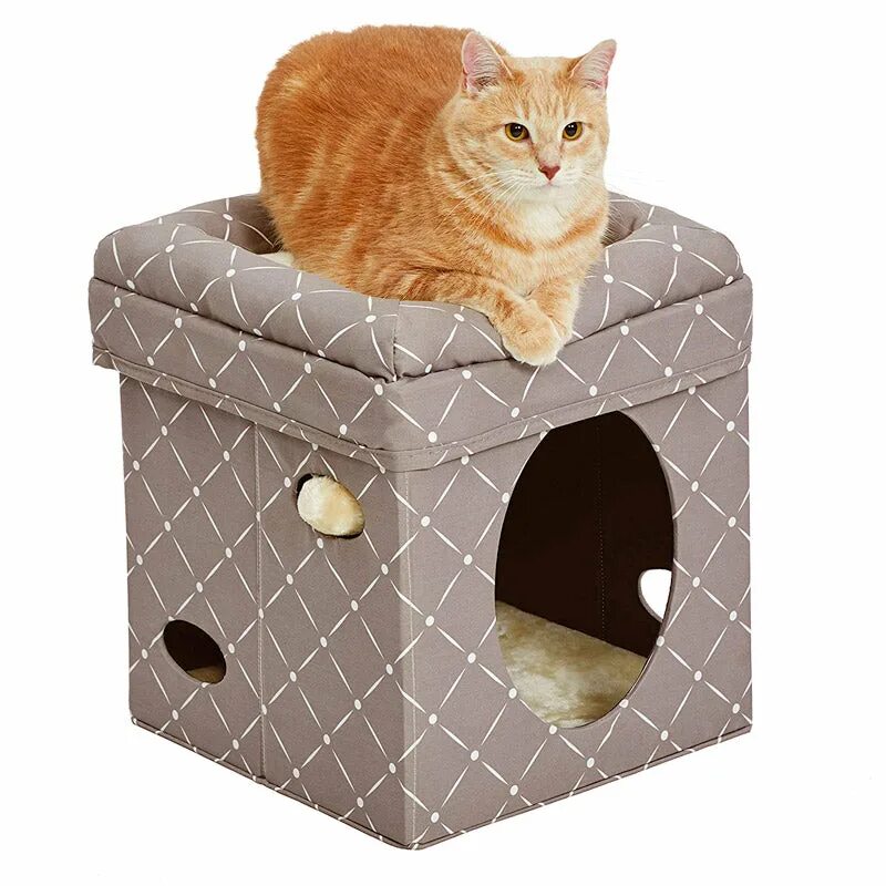 Cube cats. Домик для кошек. Красивые домики для кошек. Большие домики для котов. Прозрачный домик для кошки.