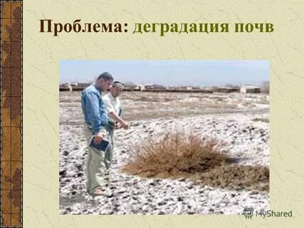 Загрязнения и деградация почвы