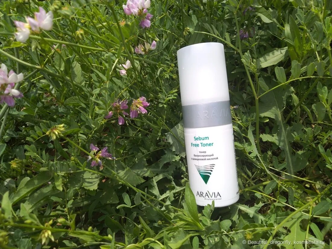 Beplain, greenful balancing toner. Балансирующий тонер. Балансирующий тонер gemmove. Menard embellir toner, 200 мл. Балансирующий тонер.