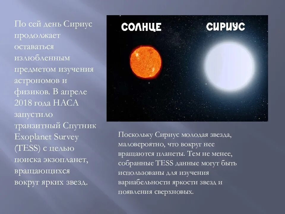 Сообщение о звездах и планетах. Сириус сверхгигант или нет. Сириус звезда. Доклад о звезде Сириус. Доклад про Сириус.