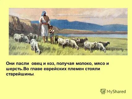 Пасти пасешь пасут