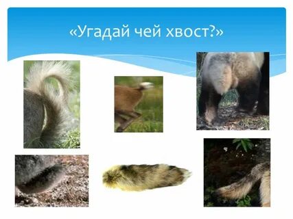 Угадай чей