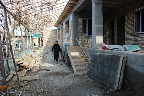 Пагода овчикалача погода
