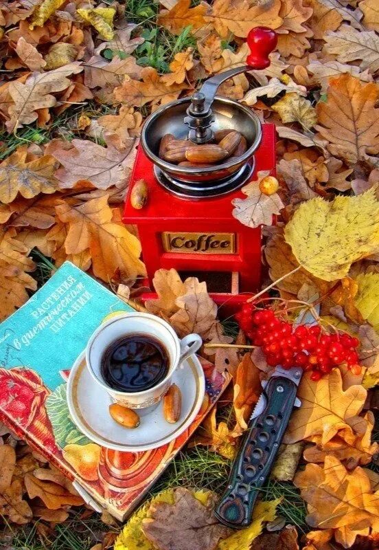 Однажды осенним утром. Осенний кофе с добрым утром. Осеннее чаепитие. Доброе осеннее утро с кофе. Доброе осеннее утро необычные.