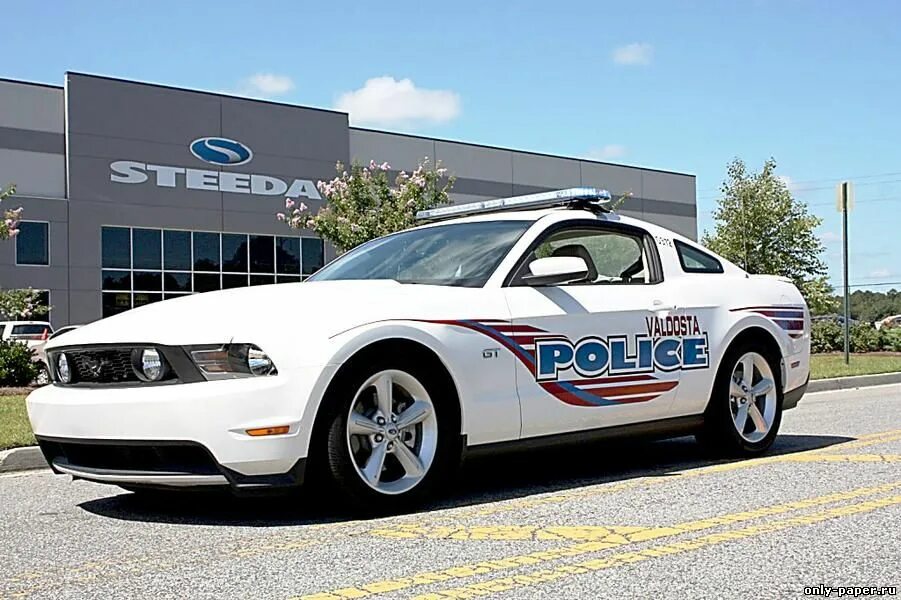 Полицейский мустанг. Форд Мустанг полиция США. Ford Mustang 2010 Police. Ford Mustang gt 2006 Police. Мустанг 2008 американская полиция.