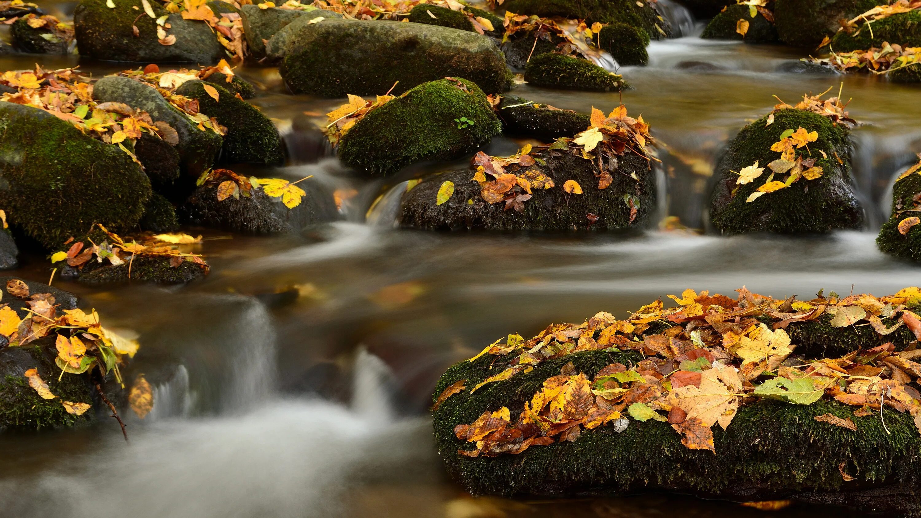 Осенний ручей. Осень картинки. Обои осень. Осень камни.