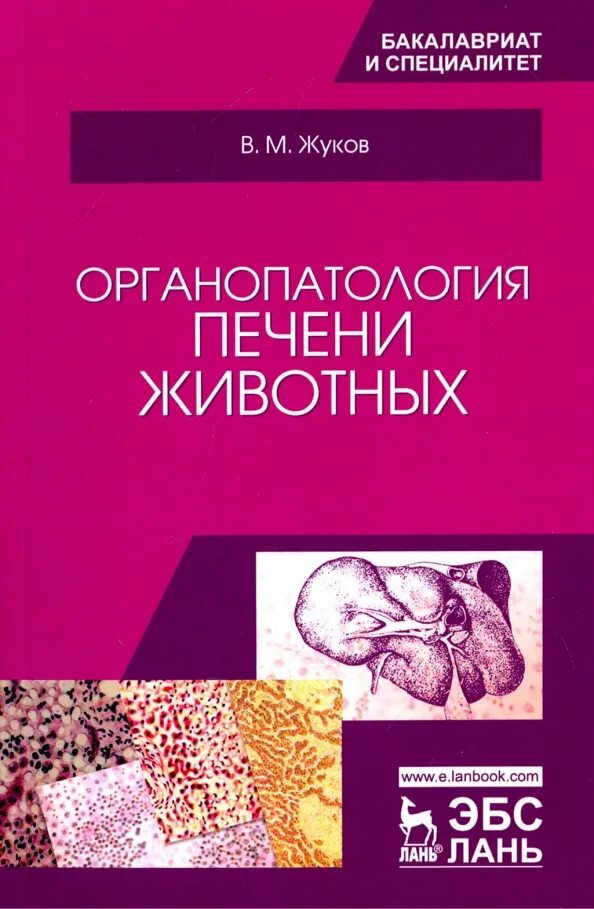 Железо в печени животных. Органопатология животных. органопатология это. понятие об органопатологии. фармацевтика ветеринария учебник.
