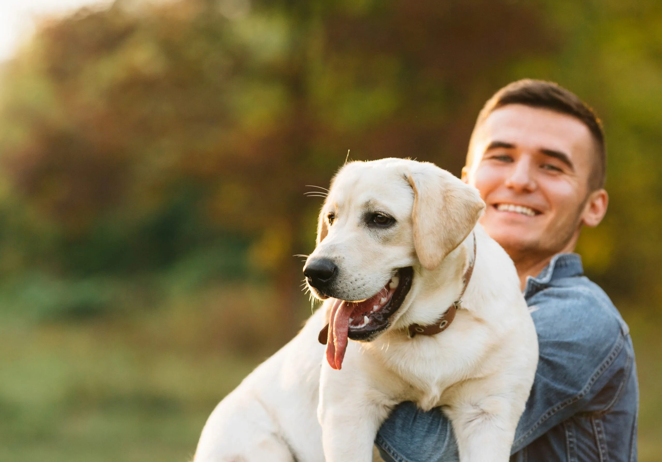 As happy as dog