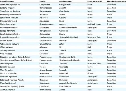 Names pdf