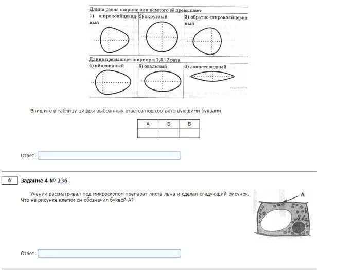 Образовательный портал решу впр биология 5 ответы. ВПР по биологии 5. ВПР биология 5 класс. Ответы на ВПР по биологии 5 класс ответы. ВПР 5 класс биология с ответами.