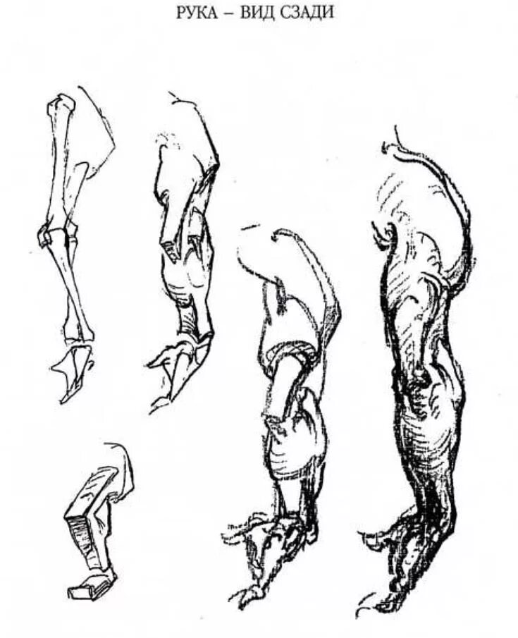 Arm pdf