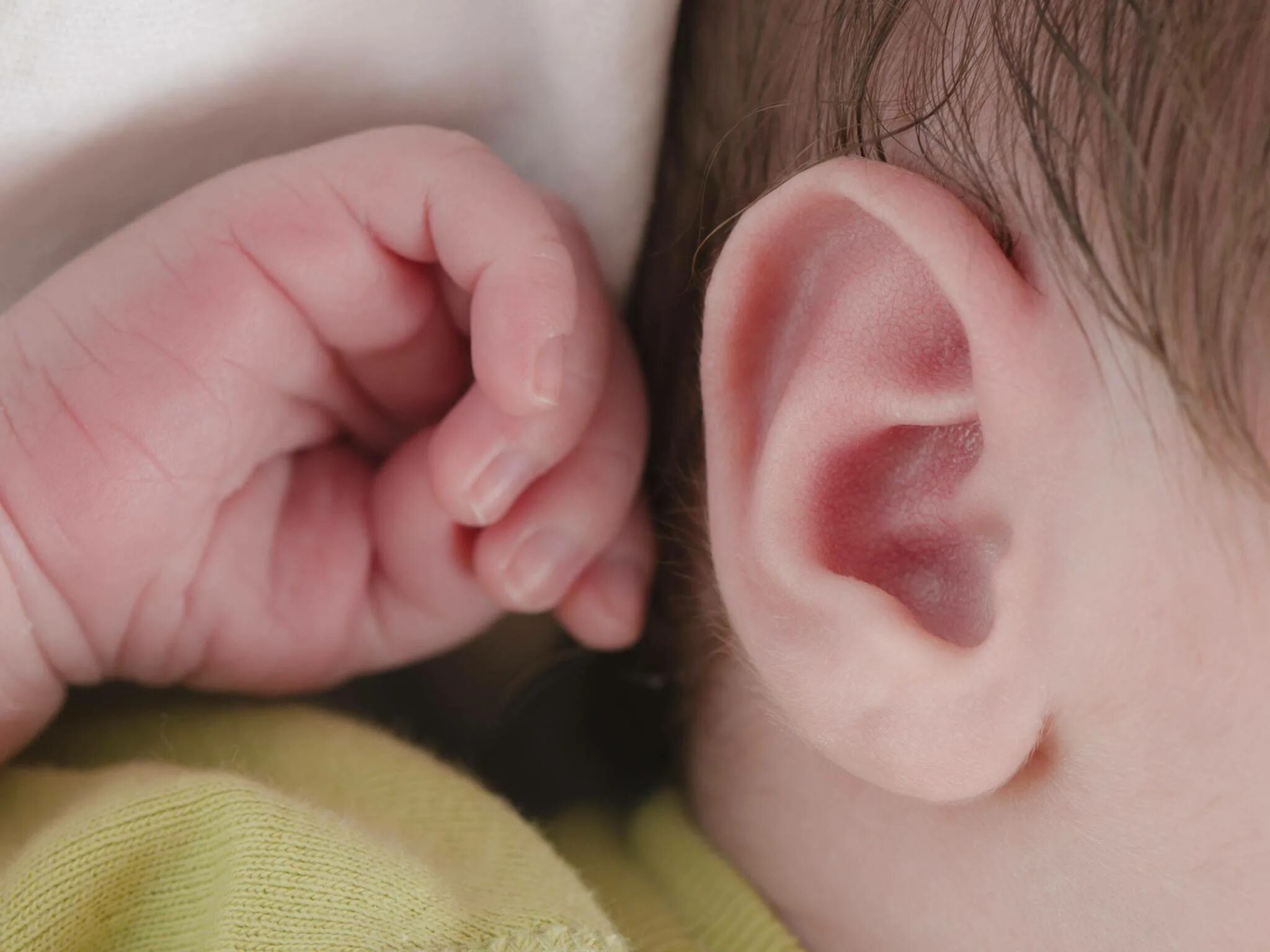 Ухо ребенка. Покраснение ушной раковины. Ушная раковина новорожденных. Ушная раковина грудничка. Покраснение на ушке у ребенка.
