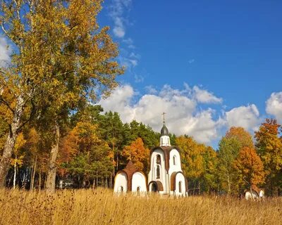 Чехов пейзаж