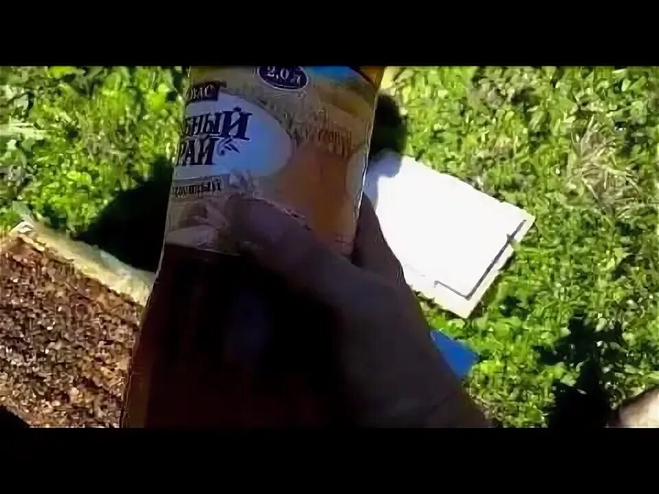 Применение пробиокса апи. Probiox апи. пробиокс для пчел. пробиокс апи для пчел фото.