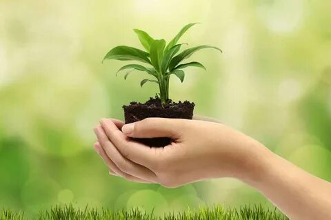 Take care of the environment