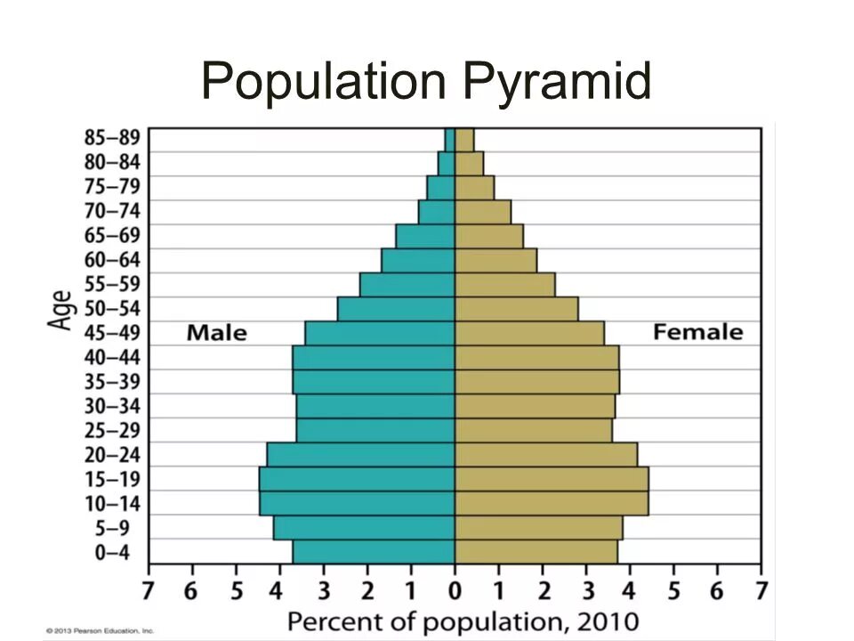 Population pyramid. Population age and Gender piramide. Демография Норвегии диаграмма. Population structure.