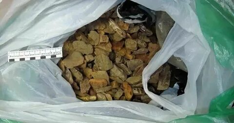 Можно ли вывозить из египта