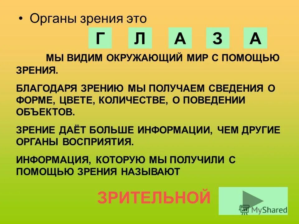 Информация 2 класс. Сигматика знаков. Сведения о классе.