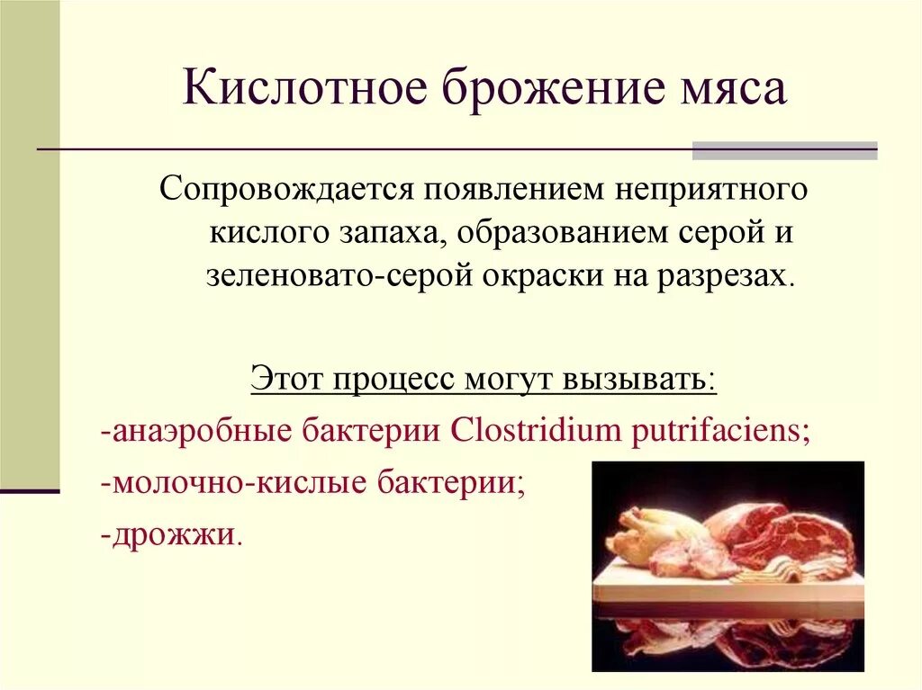 Кислотное брожение мяса. Гниение мяса презентация. Пороки мяса и мясных продуктов..