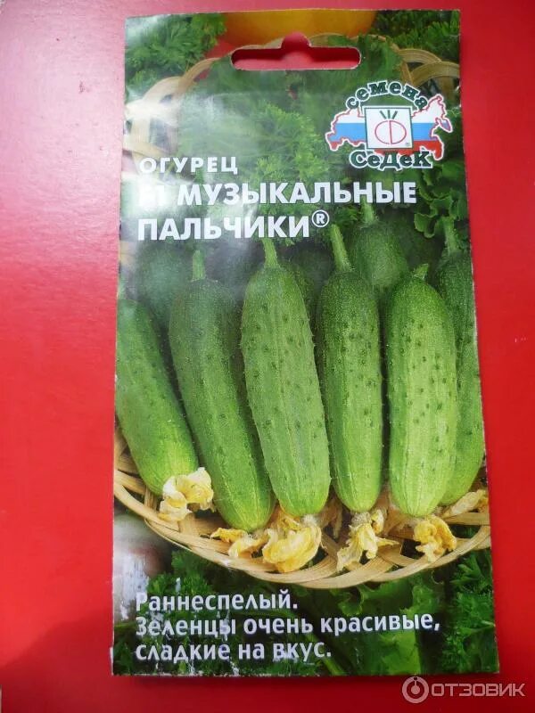 Оркестр огурцы: Бетховен,Моцарт,Чайковский,Музык. пальчики СеДек/Гавриш 13971298