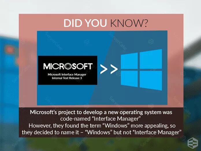 Windows 1 интерфейс. Microsoft interface. interface manager. interface manager and windows. microsoft windows interface manager release.