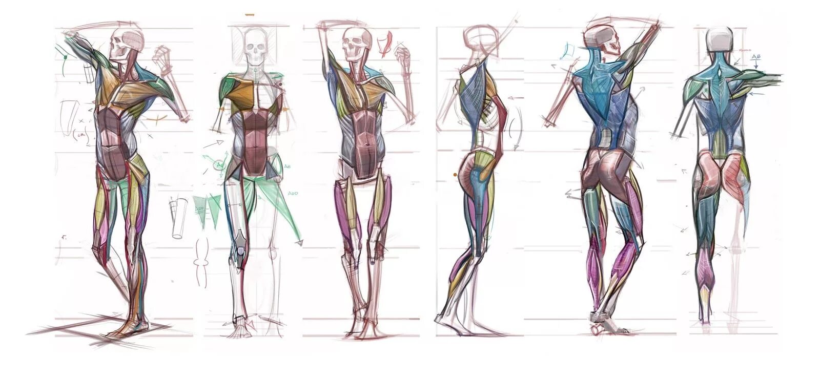 Reference ts