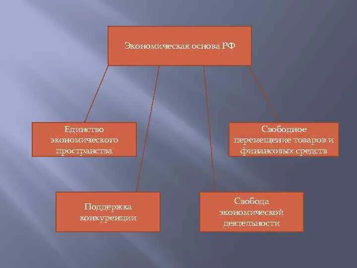 Основы для хозяйственной инициативы конституция. Свобода экономической деятельности в РФ. Многообразие и равноправие форм собственности в Конституции РФ. Основам конституционного строя РФ единство эконом пространства. Экономическое многообразие и Свобода экономической деятельности.