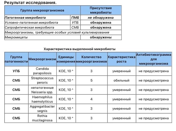 Бак посев мокроты результат. Бактериологический посев мокроты заключение. Заключение по анализу мокроты. Сапрофитическач микробиота. Rothia mucilaginosa