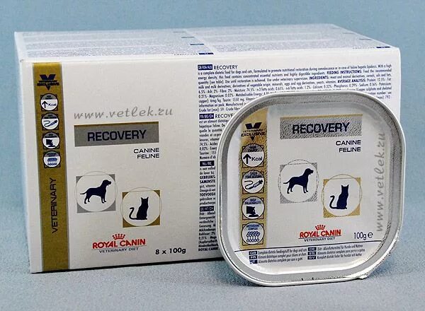 Canin recovery для кошек. Роял канин рекавери для кошек паштет. роял канин рекавери консервы для кошек. корм royal canin recovery. royal canin recovery для кошек паштет.