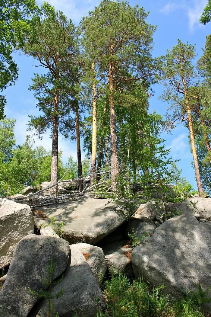 Stone екатеринбург. Гора Соколиный камень Северка. Скала Соколиный камень Екатеринбург. Соколиный камень Екатеринбург Северка. Соколиная гора Екатеринбург.