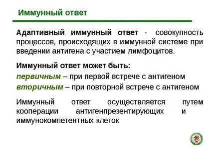 Иммунный ответ осуществляется