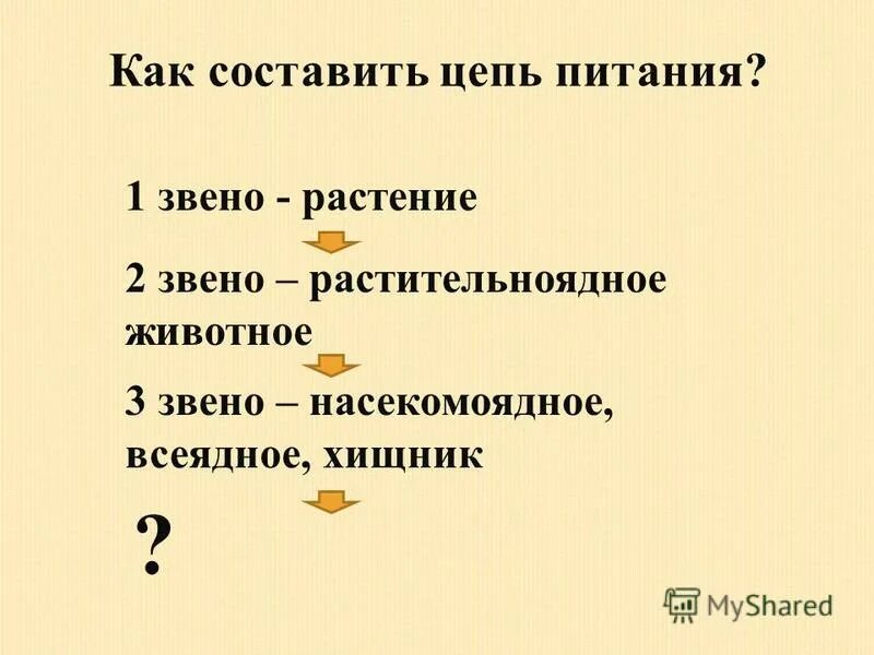 Что такое 1 звено. Что такое 1 звено