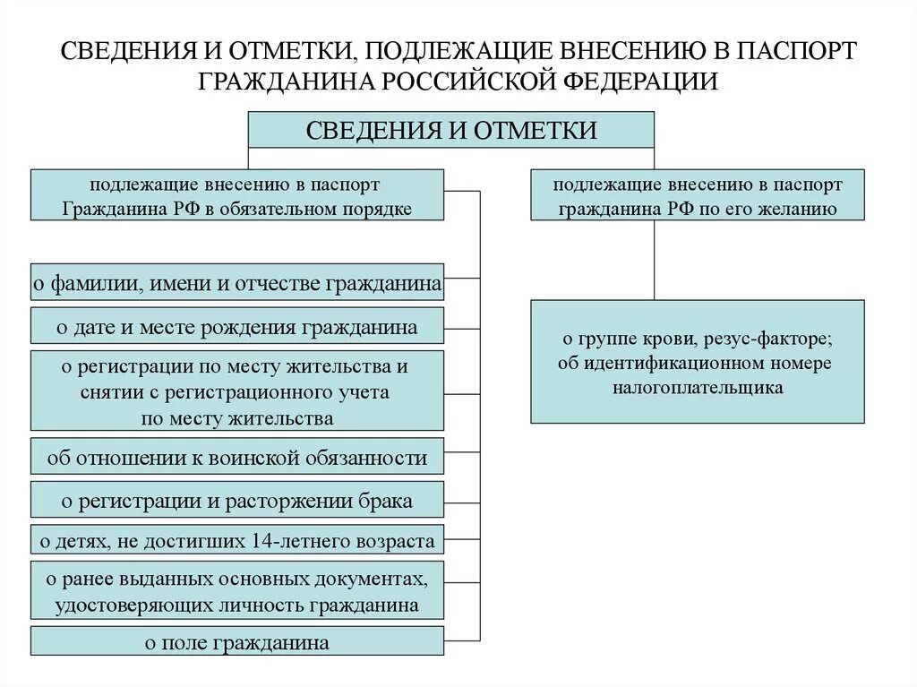 Организация не граждане в рф. Паспортная система РФ.