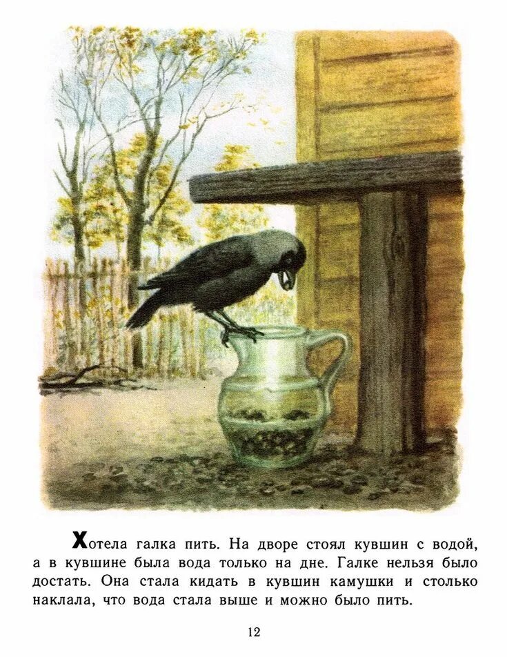 Хотела галка пить. Лев Николаевич толстой умная Галка. Лев толстой Галка и кувшин. Хотела Галка пить л.н.толстой. Рассказ л н Толстого умная Галка.