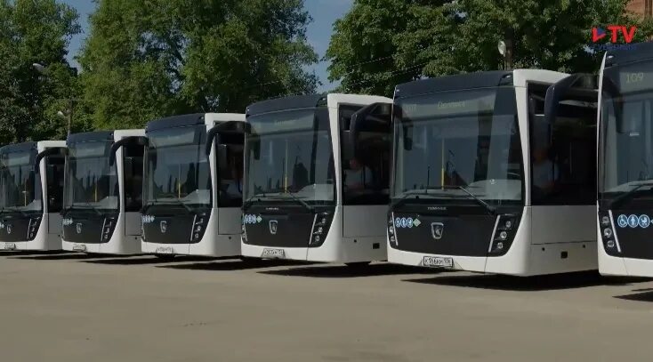 Автобус 8 воронеж. Белес автобус. Автобусы воронеж 2023. Воронежский автобус. Воронеж автобус 92.