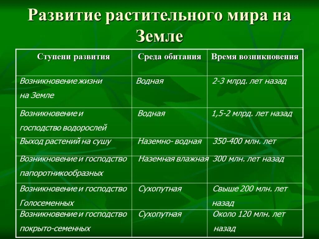 Установите последовательность появление плодов