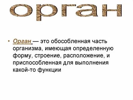 Общий обзор организма 8 класс презентация