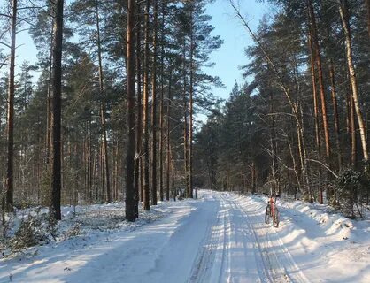 Мещерский парк прокат