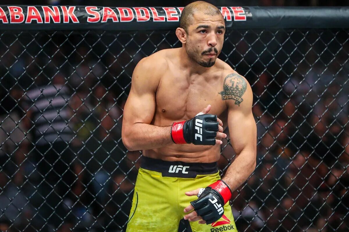 Луке боец. Альдо двалишвили. боец ufc жозе альдо.