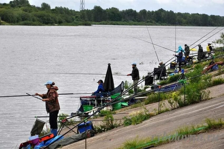 Рыбалка на гребном канале в Нижнем Новгороде. Гребной канал в Москве рыбалка. Рыбалка на Волге в Нижегородской. Соревнования по ловле поплавочной удочкой. Рыбалка нижний новгород и область в контакте