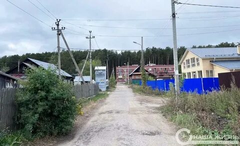 Курья сегодня