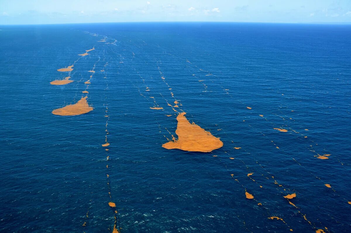 Саргассово какой океан. Атлантический океан Саргассово море. Саргассово море сверху. Саргассово море из космоса. Саргассы в Саргассовом море.