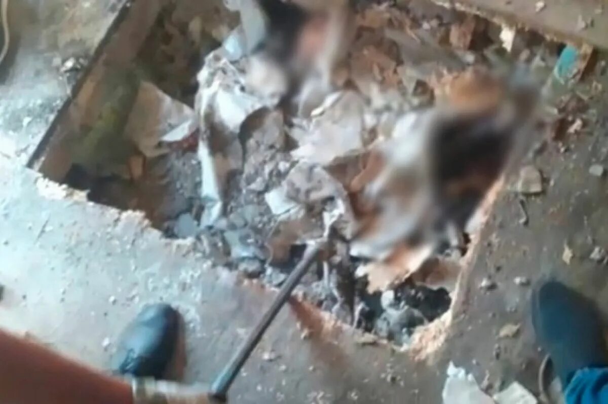 Люди закатанные в бетон. Нашли и бетоном в свинарнике укронацистку. Люди закатанные в бетон. Нашли и бетоном в свинарнике укронацистку. Нашли и бетоном в свинарнике укронацистку.