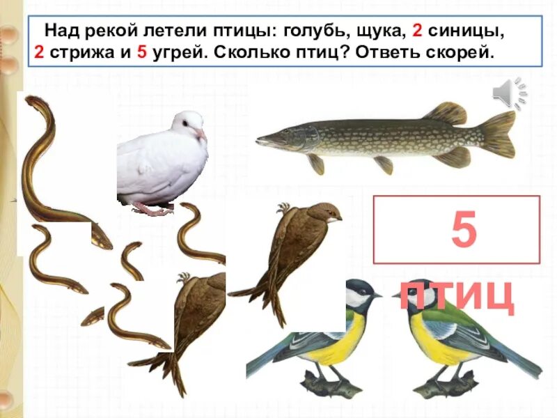 Летели птицы голуби синицы. Над рекой летели птицы голубь щука 2 синицы 2 стрижа и 5 угрей. над рекой летели птицы голубь щука. пять птиц. голубь,щука,2 синицы.
