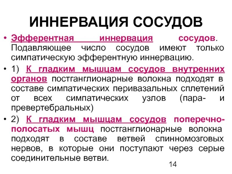 Иннервация сосудов физиология. Вегетативная иннервация органов. Органы парасимпатической нервной системы. Схема вегетативной иннервации внутренних органов. Иннервация сосудов.