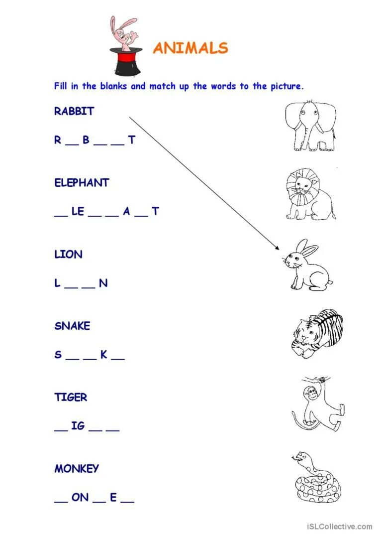 Задания английский. Животные на английском задания. Английский язык животные задания. Животные на английском для детей упражнения. Задания про животных английский